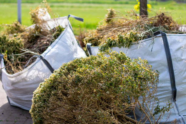 Trusted West Buechel, KY Junk Removal Services Experts